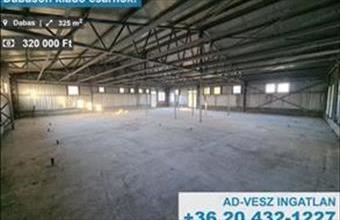 Kiadó Dabasi raktár hirdetés (78176461)