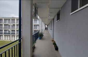 Eladó Téti tégla lakás hirdetés (53365241)