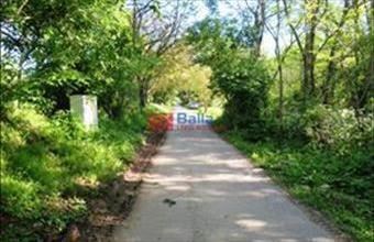 Eladó Badacsonytomaji egyéb telek hirdetés (24793444)