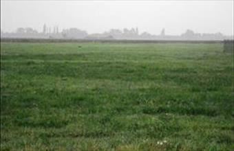 Eladó Székesfehérvári termőföld, szántó hirdetés (36481398)