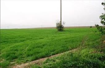 Eladó Székesfehérvári termőföld, szántó hirdetés (44378693)