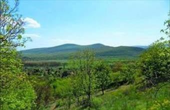 Eladó Pomázi külterületi telek hirdetés (74534384)