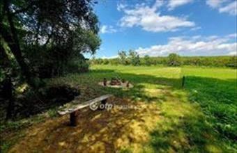 Eladó Bózsvai külterületi telek hirdetés (74535934)