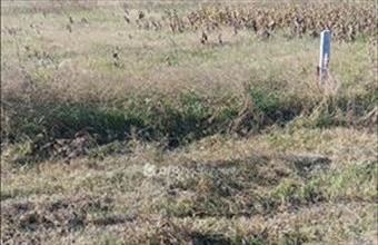 Eladó Tököli lakóövezeti telek hirdetés (39392743)