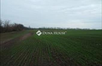 Eladó Bényei külterületi telek hirdetés (53744455)