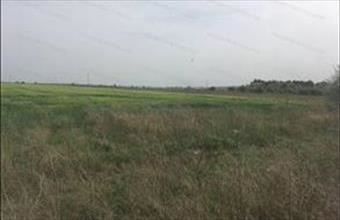 Eladó Veszprémi termőföld, szántó hirdetés (54372866)