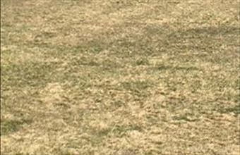 Eladó Veszprémi termőföld, szántó hirdetés (49977344)