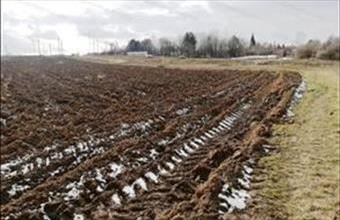 Eladó Veszprémi termőföld, szántó hirdetés (82629735)