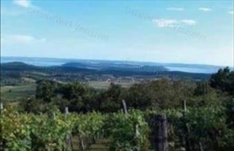 Eladó Balatonszőlősi egyéb mezőgazdasági ingatlan hirdetés (56976944)