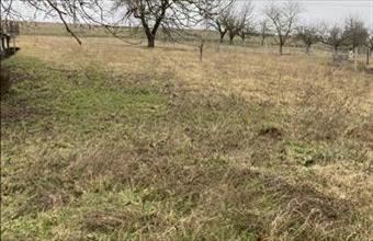 Eladó Óbaroki lakóövezeti telek hirdetés (86423323)