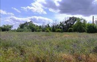 Eladó Szigetcsépi egyéb telek hirdetés (99313738)