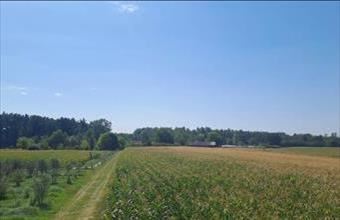 Eladó Debreceni tanya hirdetés (44234734)