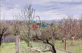 Eladó Kerepesi hétvégi ház hirdetés (35744246)