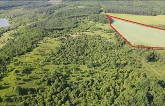 Eladó Siroki egyéb mezőgazdasági ingatlan hirdetés (63754786)