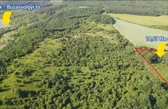 Eladó Siroki egyéb mezőgazdasági ingatlan hirdetés (89385463)