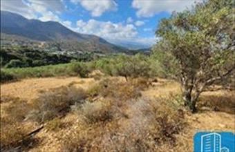 Eladó Görögországi lakóövezeti telek hirdetés (53738939)