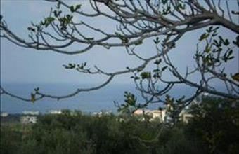 Eladó Görögországi lakóövezeti telek hirdetés (43932314)