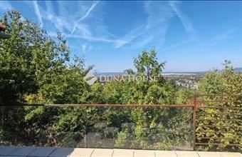 Eladó Biatorbágyi családi ház hirdetés (37495957)