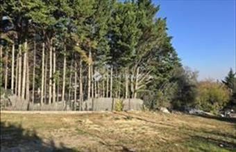 Eladó Diósdi ikerház hirdetés (25427854)