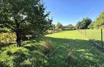 Eladó Székesfehérvári családi ház hirdetés (39323376)