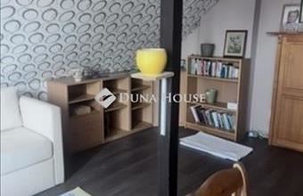 Eladó Sződligeti családi ház hirdetés (33223474)