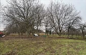 Eladó Pilisi családi ház hirdetés (69332923)