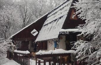 Eladó Verőcei hétvégi ház hirdetés (58765342)