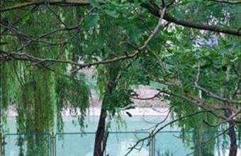 Eladó Siófoki egyéb telek hirdetés (14578749)