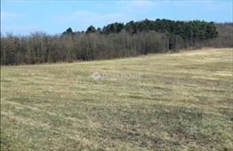 Eladó Alsónemesapáti termőföld, szántó hirdetés (52775544)