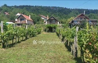 Eladó Magyarpolányi termőföld, szántó hirdetés (28363243)