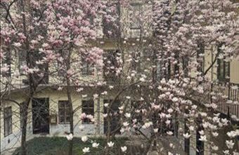 Eladó Budapest VII. kerületi tégla lakás hirdetés (31176321)