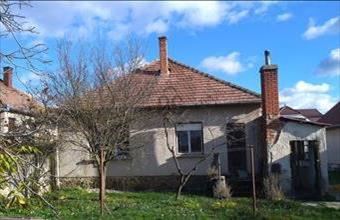 Eladó Váti családi ház hirdetés (24429824)