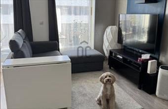 Eladó Budapest IX. kerületi tégla lakás hirdetés (38437413)