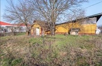 Eladó Felsőzsolcai külterületi telek hirdetés (31738574)