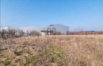 Eladó Felsőzsolcai külterületi telek hirdetés (31738574)