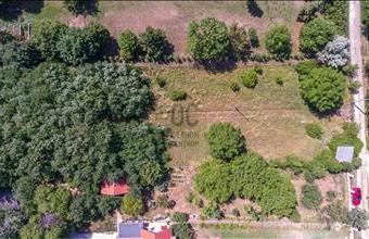 Eladó Pátyi külterületi telek hirdetés (89857844)