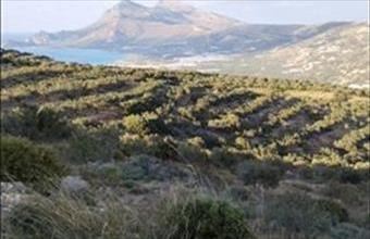 Eladó Görögországi lakóövezeti telek hirdetés (73343799)