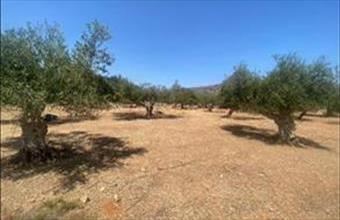 Eladó Görögországi lakóövezeti telek hirdetés (55544759)