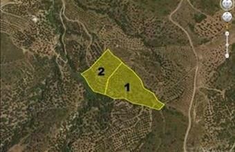 Eladó Görögországi lakóövezeti telek hirdetés (24489536)