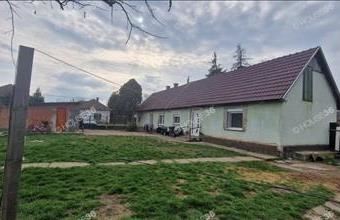 Eladó Tiszaugi családi ház hirdetés (49327288)