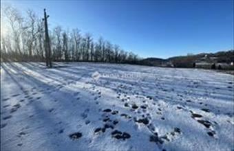 Eladó Pannonhalmai külterületi telek hirdetés (73157757)