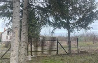 Eladó Besenyszögi egyéb mezőgazdasági ingatlan hirdetés (77982352)