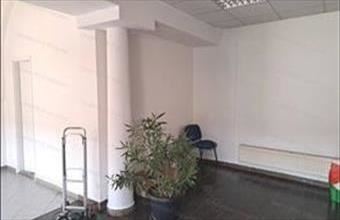 Kiadó Pápai egyéb üzlethelyiség hirdetés (57974411)