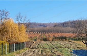 Eladó Tényői lakóövezeti telek hirdetés (68444483)