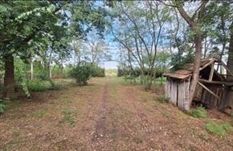 Eladó Jászberényi tanya hirdetés (22169347)