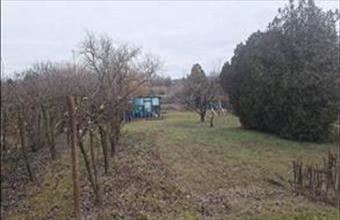Eladó Szolnoki egyéb mezőgazdasági ingatlan hirdetés (65996338)