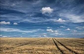 Eladó Fóti egyéb telek hirdetés (47948457)