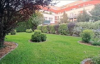 Eladó Budapest XX. kerületi egyéb lakás hirdetés (95455524)