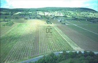 Eladó Tagyoni egyéb mezőgazdasági ingatlan hirdetés (27226339)