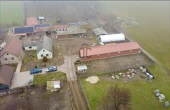 Eladó Bócsai családi ház hirdetés (57233334)